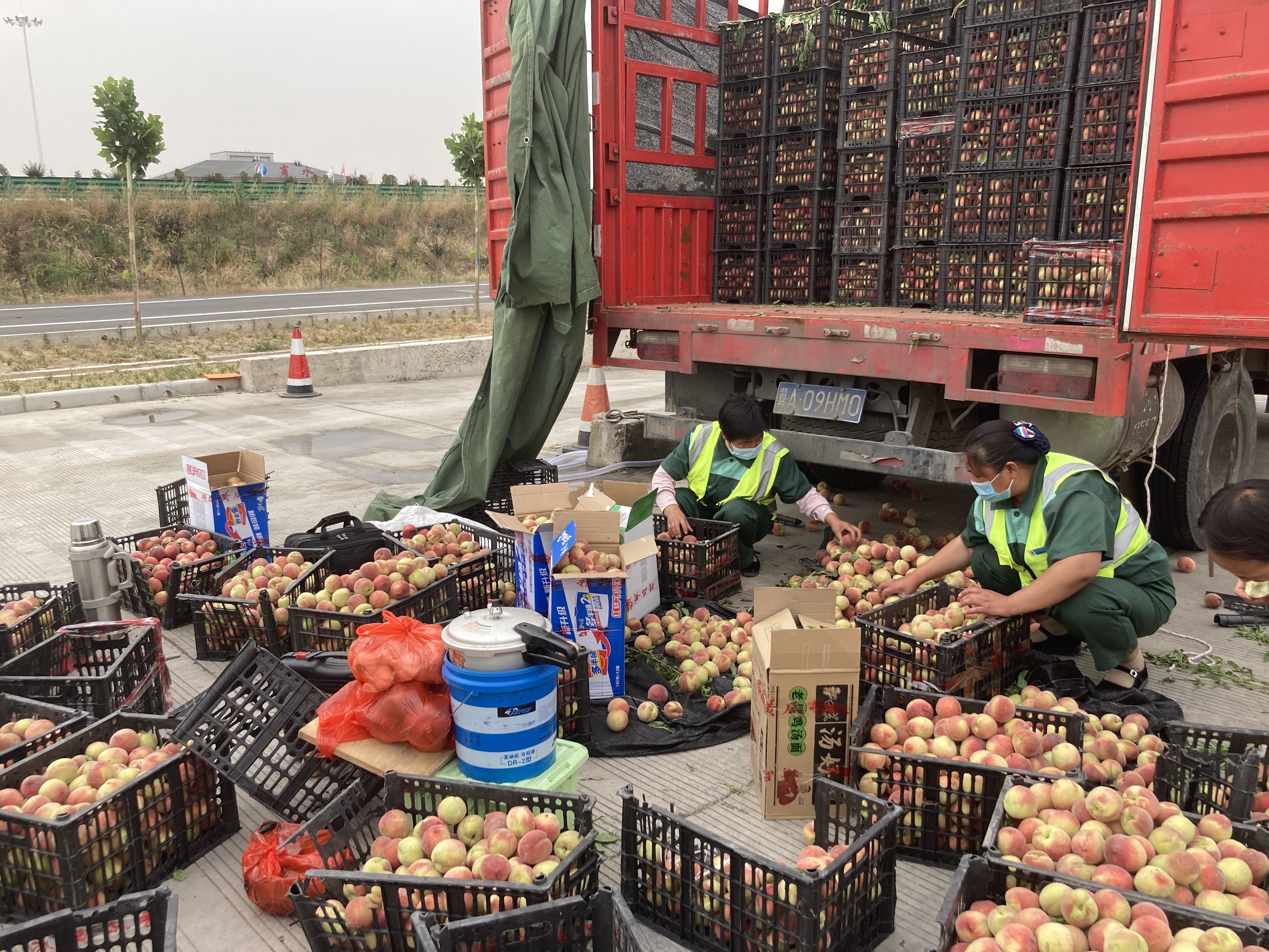 圖說:6月4日,一輛運輸水果的貨車在行駛到商水服務區下道口時,由于速度過快,車輛發生側翻事故,車上滿載的水果隨車輛拋灑一地。服務區及時救援,并組織員工不畏炎熱幫助車主撿拾水果。.jpg 圖說:6月4日,一輛運輸水果的貨車在行駛到商水服務區下道口時,由于速度過快,車輛發生側翻事故,車上滿載的水果隨車輛拋灑一地。服務區及時救援,并組織員工不畏炎熱幫助車主撿拾水果。.jpg